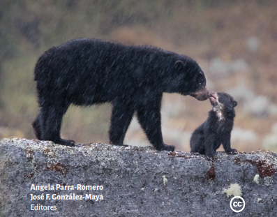 Los rastros ocultos de Chingaza