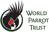 world parrot trust
